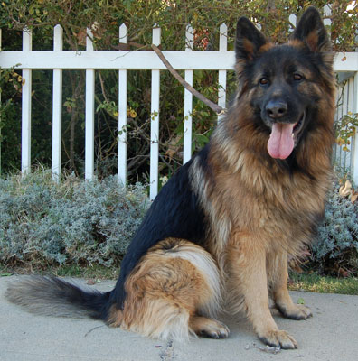 Gunner von Theis sitting 2